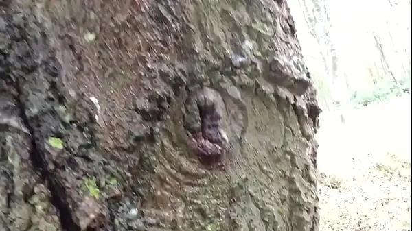 Tunjukkan Pissing up a tree jumlah Filem