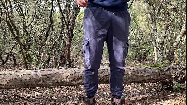 Εμφάνιση Little break in the forest to jerk off συνολικών ταινιών